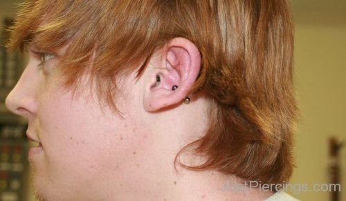 Conch Piercing 5-JP1041