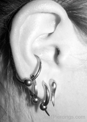 Conch Piercing 6-JP1042