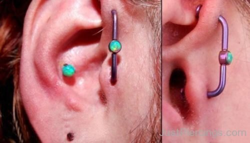 Conch  Piercing 8-JP1016