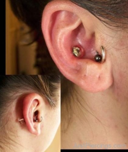 Conch Piercing 8-JP1054