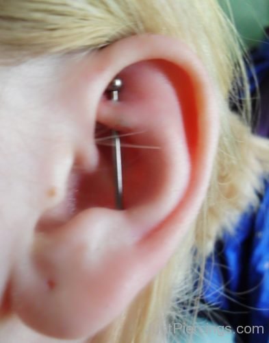 Conch Piercing-JP1076