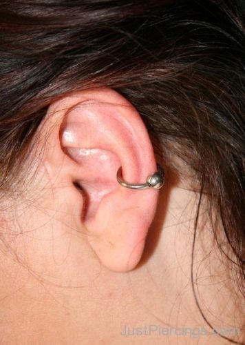 Conch Piercing  With Ball Closure Ring-JP1037