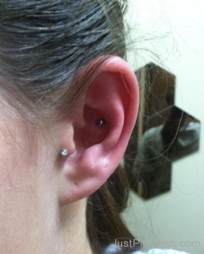 Conch , Tragus Piercing-JP1015