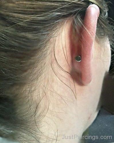 Cool Conch Piercing-JP1083