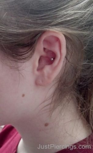 Cute Conch-Piercing-JP1091