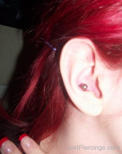 Ear Conch Piercing-JP1095