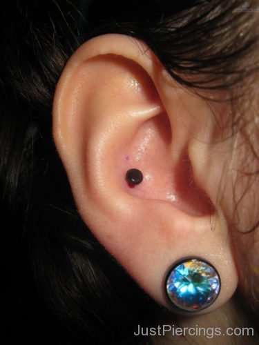 Gauge Lobe And Cartilage Piercing-JP119