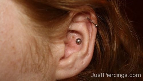 Helix And Conch Piercing 1-JP1102