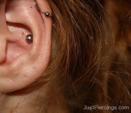 Helix And Conch Piercing-JP1104