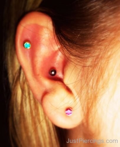 Helix,Lobe And Conch Piercing-JP1113