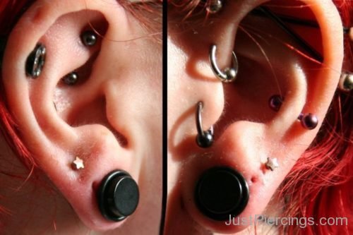 Industrial ,Conch And Lobe Piercing-JP1115