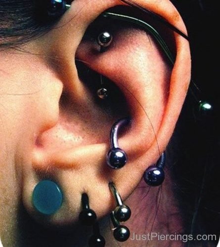 Industrial Rook Conch And Lobe Piercing-JP1116