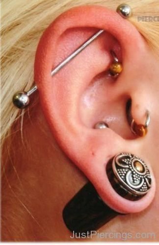 Industrial, Rook, Lobe And Cartilage Piercing-JP129