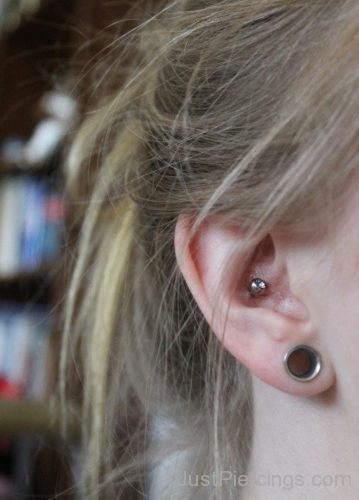 Latest Conch Piercing-JP1136