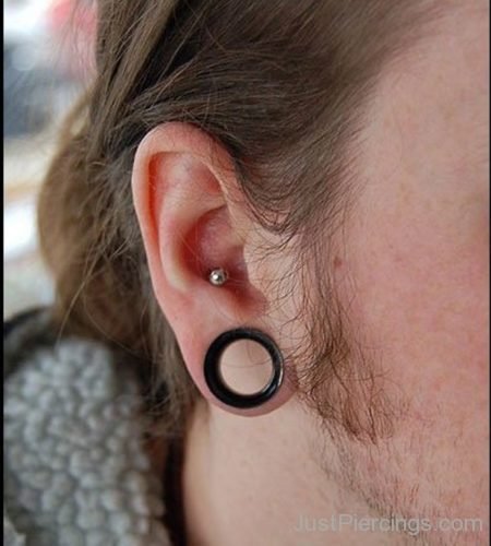 Lobe Stretching And Conch Piercing-JP1133