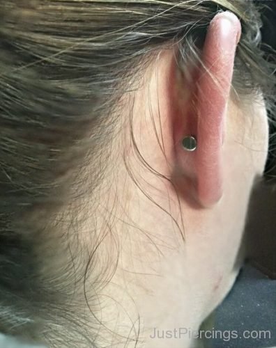 Nice Conch Piercing 2-JP1154