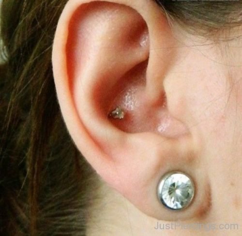 Nice Lobe And Conch Piercing-JP1141