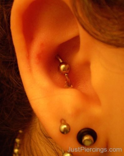 Orbital Conch Piercing-JP1157