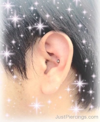 Shining Conch Piercing-JP1175