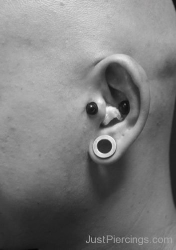 Tragus Inner Conch Piercing-JP1186