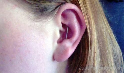 Vertical Conch Industrial Piercing-JP1201