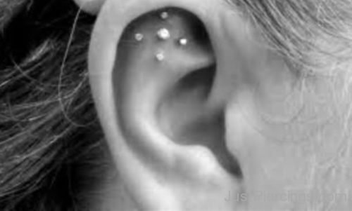  Scapha Ear Left Piercing-JP1037