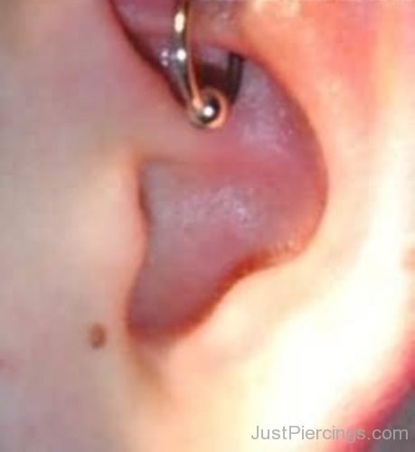 Close Up Of Captive Bed Ring Daith Ear Piercing-JP1097