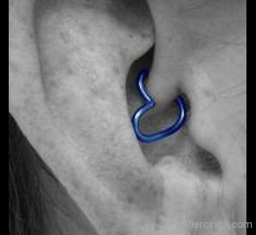 Closeup Daith Piercing 5-JP1026