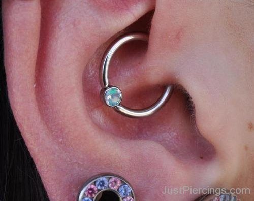 Closeup Daith Piercing And Lobe Stretching-JP1027