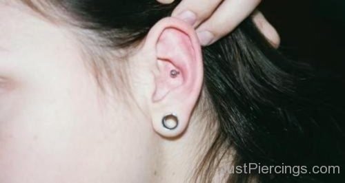 Conch And Lobe Piercing