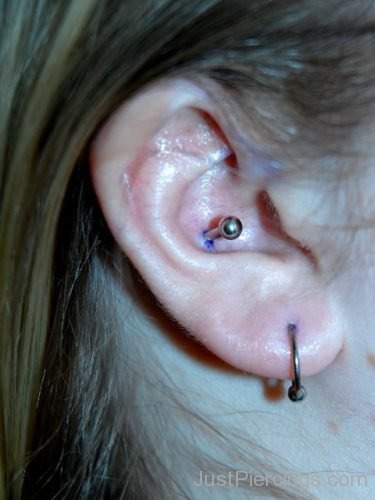 Conch & Lobe Piercing-JP1012