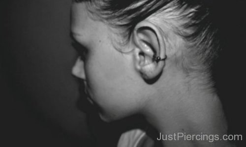 Conch Piercing 47-JP1051