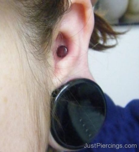 Conch Piercing And Big Lobe Stretching