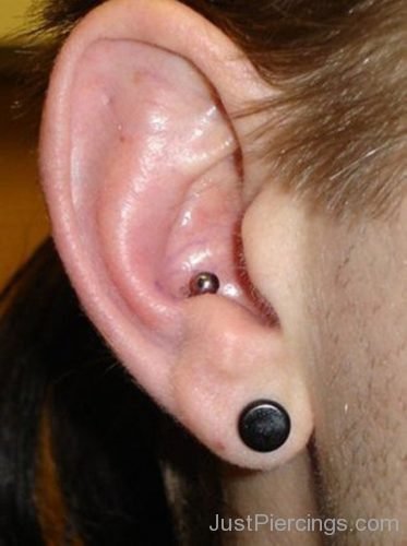 Conch Piercing And Lobe Piercing For Ear-JP1040