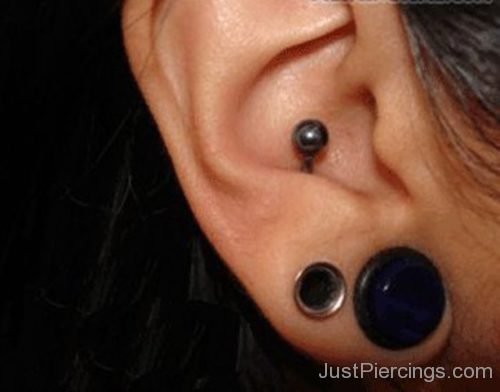 Conch Piercing And Lobe Stretching 2222-JP1068