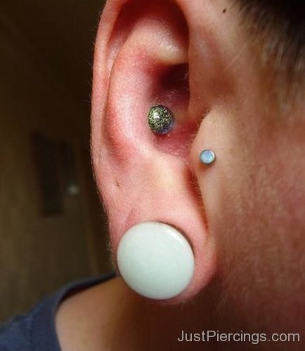 Conch Tragus And Lobe Piercing-JP1071