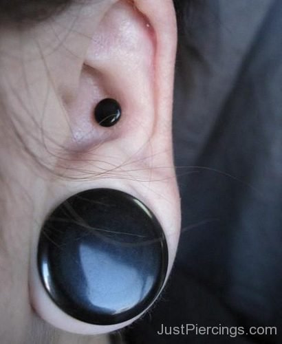 Conch,Lobe Piercing-JP1088