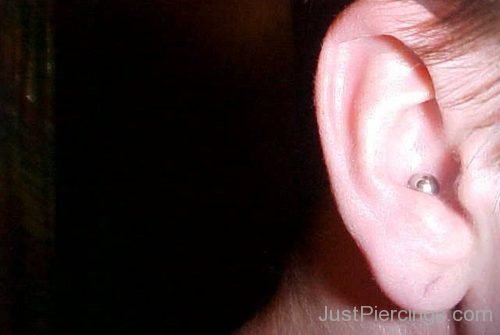 Cutie Conch Piercing