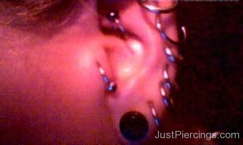 Daith Piercing And Multiple Ear Piercing-JP1141