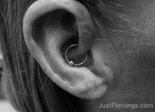 Daith Piercing With Ball Closure Ring For Ear-JP1189