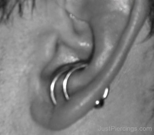 Dual Lobe To Conch Piercing-JP1130