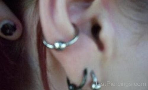 Ear Conch Piercing With Ball Closure Ring-JP1136