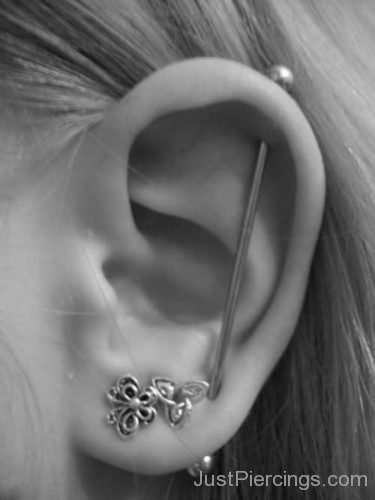 Ear Lobe And Vertical Industrial Piercing-JP1082