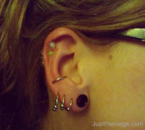 Ear Piercing Orbital And Tripple Upper Lobe-JP1028