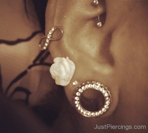 Ear Piercing Stretching And Flower Stud Piercing-JP122