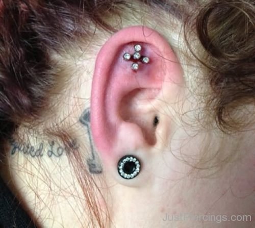 Flower Scapha And Gauge Ear Piercing-JP1109