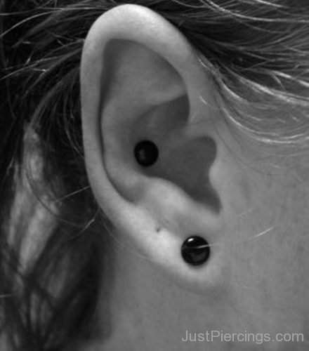 Gauge Conch piercing-JP1095