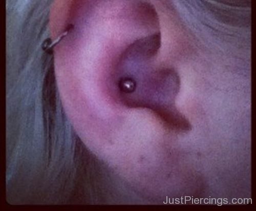 Helix And Conch Piercing 45-JP1148