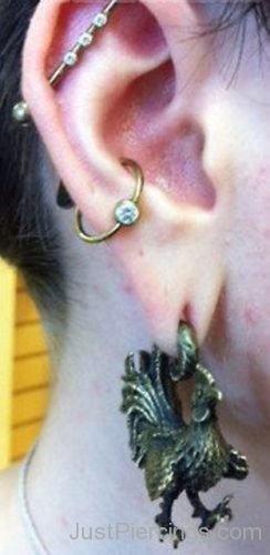 Industrial , Lobe And Conch Piercing-JP1165