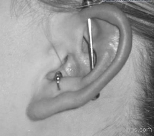 Industrial Piercing Conch To Antitragus-JP1110